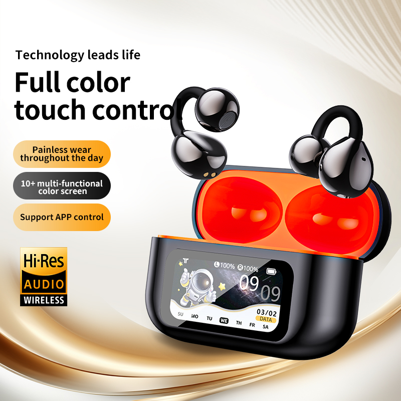 AI Translation Headphones True - огляд і ціна Usb C Earphone